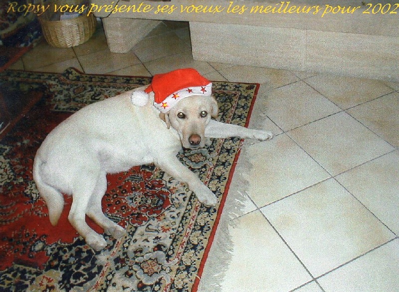 nos bébés chez leur famille